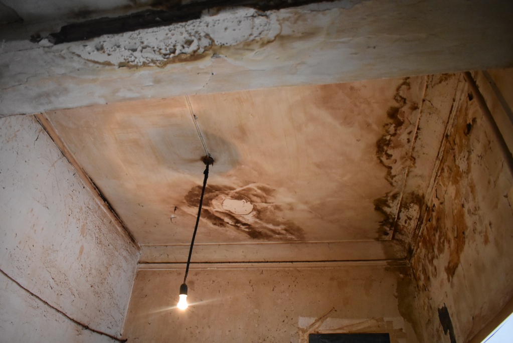 DSC_1083.jpg DSC_1083.jpg