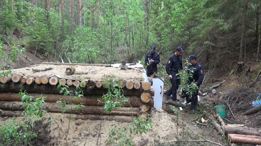 Мужчина построил дом в лесу