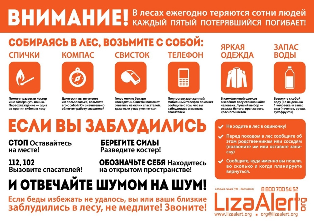 Чтобы не заблудиться в лесах надо знать приметы схема