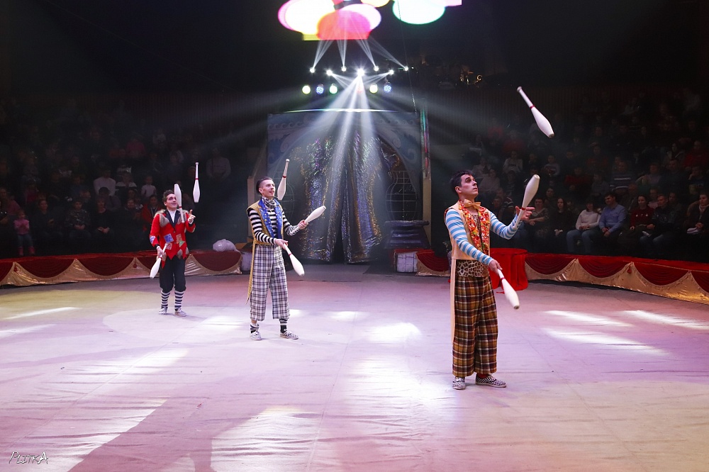 представления в цирке кострома. афиша цирка. представление в цирке кострома. династия филатовых цирк зверей. цирк зверей афиша.