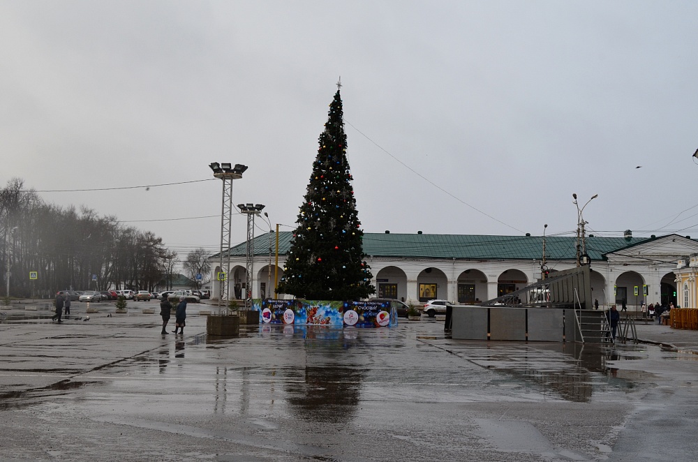 Ели в костроме. Елка на Сусанинской площади Кострома. Елки Кострома на Сенной 2022. Главная елка Костромы. Главная елка Костромы 2021.