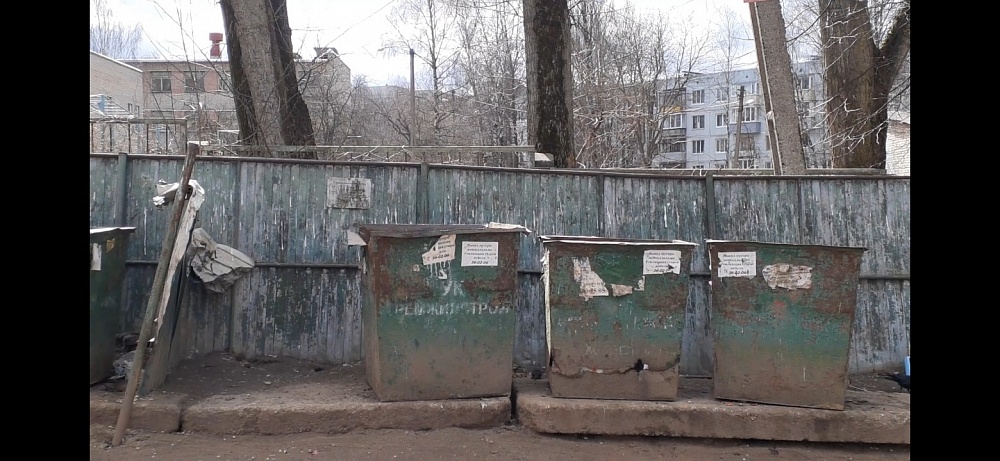  В Костроме полчища крыс захватили двор многоэтажки