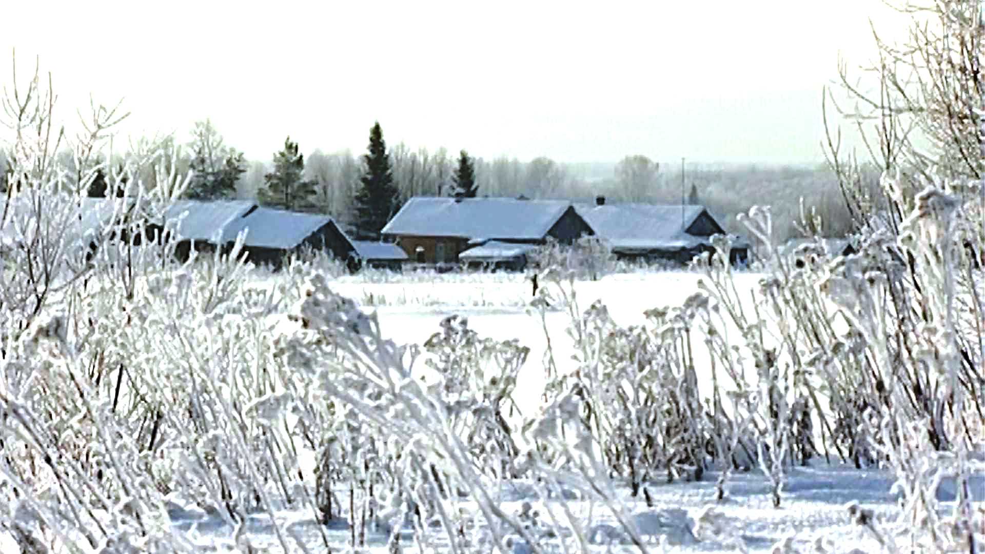 Костромичей ждёт самая холодная пятидневка с начала века