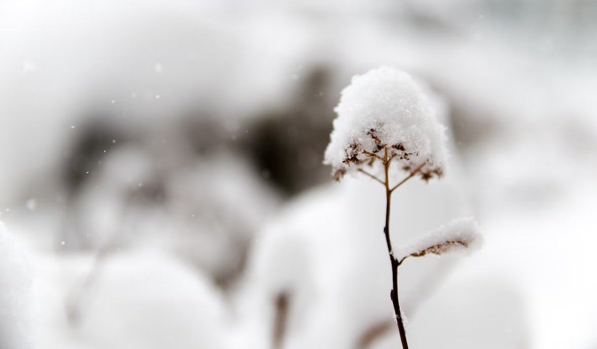 Зима вернулась: Костромскую область завалило снегом