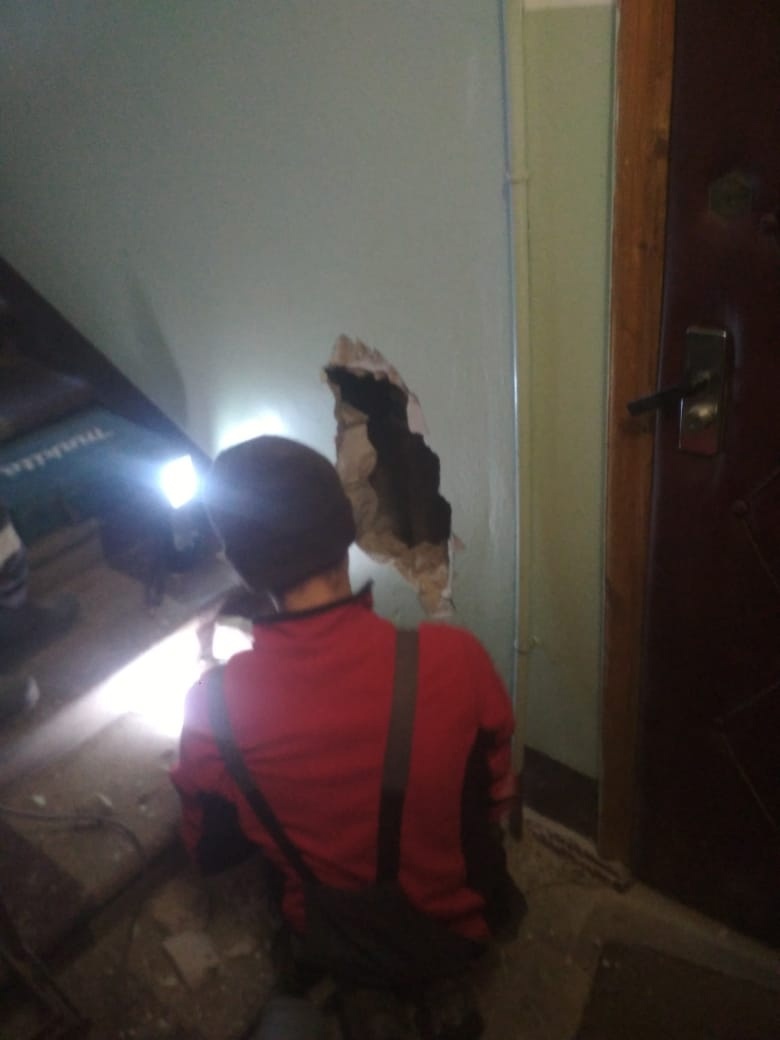 Ради спасения кошки в Костроме пришлось ломать стену дома