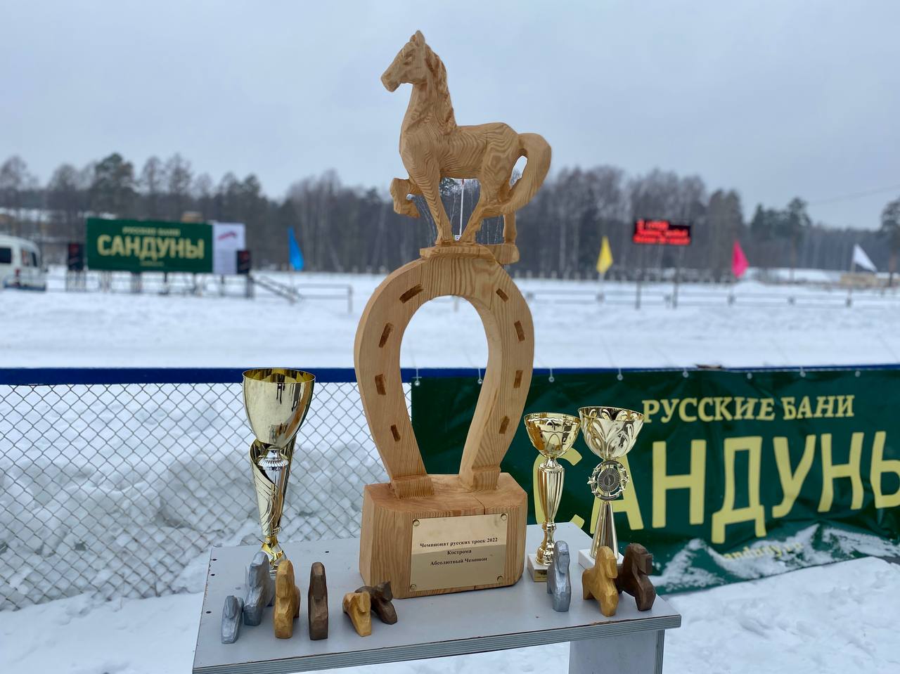 Костромич взял золото на чемпионате русских троек