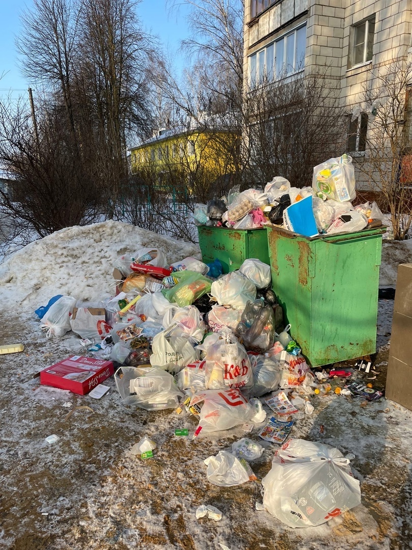 Интрига дня: почему в костромском микрорайоне неделю не вывозят мусор