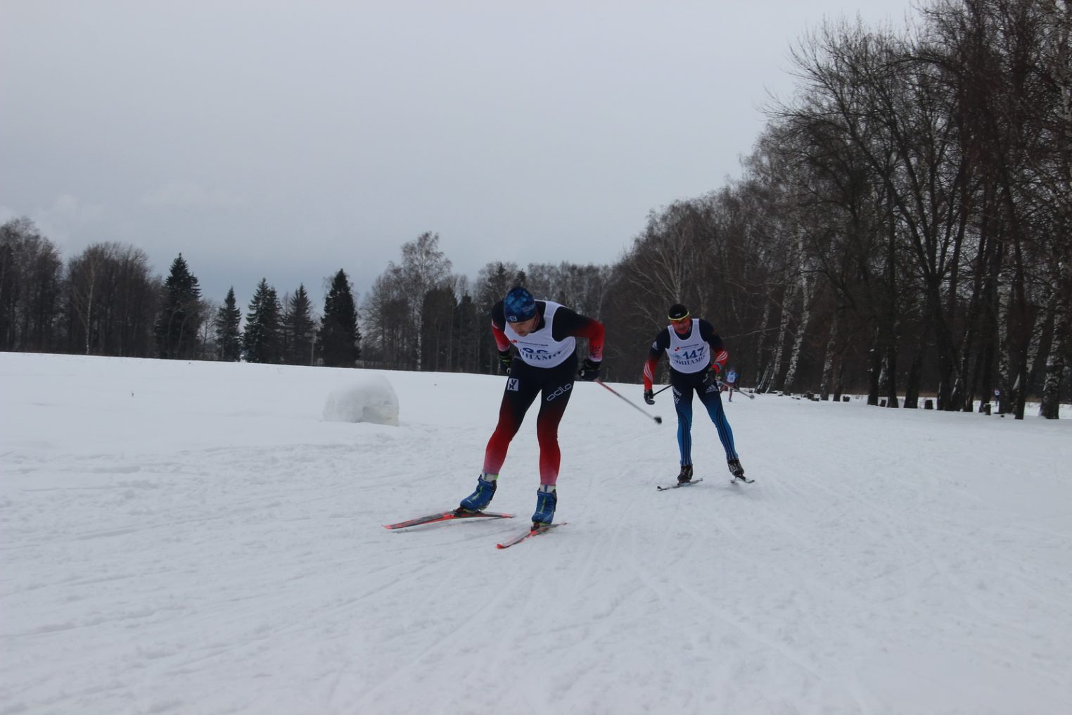 Костромские полицейские стали призерами лыжных гонок