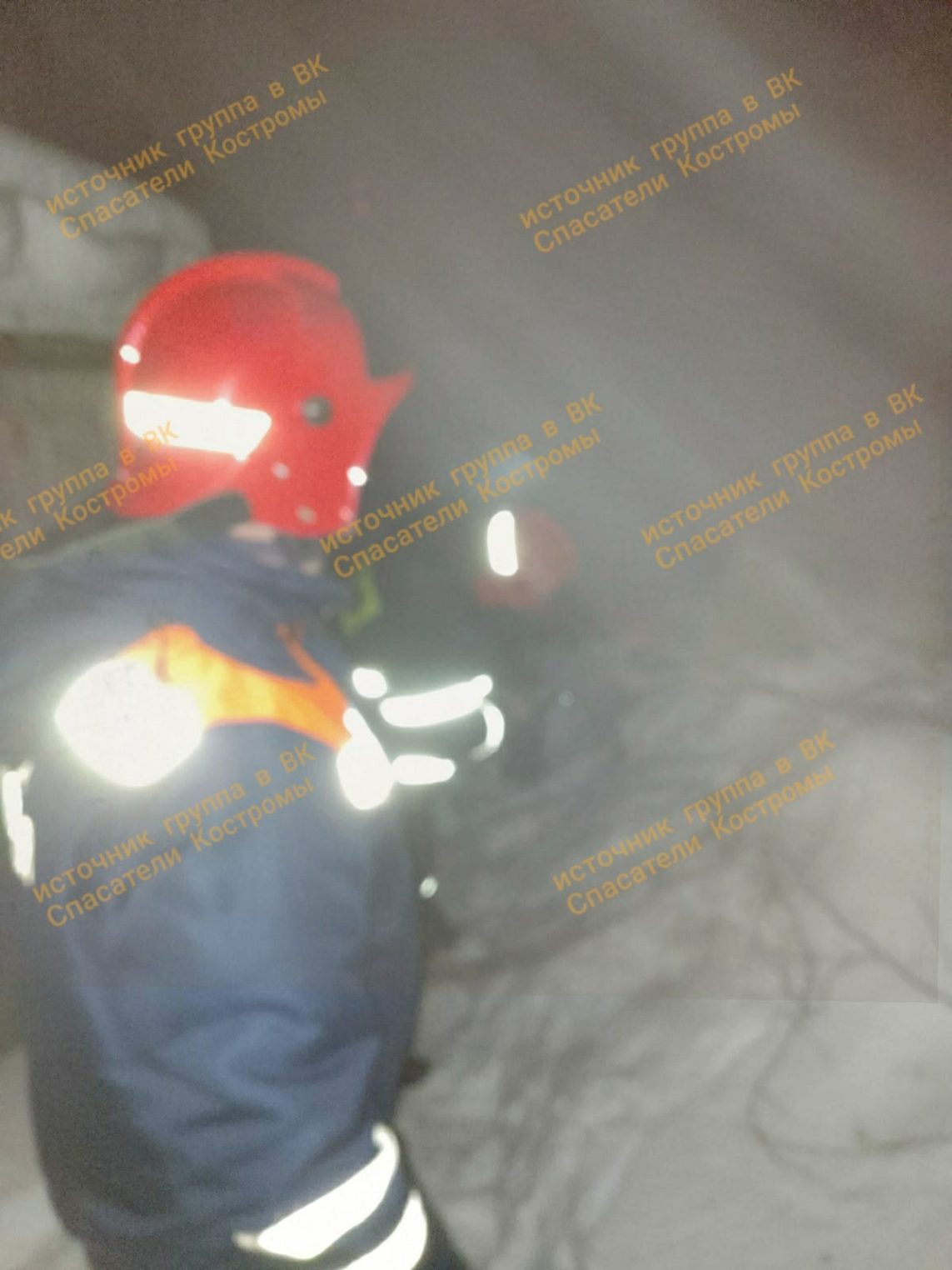 Костромские спасатели вынесли из огня маленького телёнка