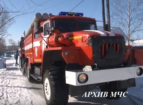 Костромские спасатели вынесли из огня маленького телёнка