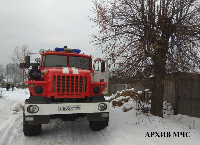 Костромские спасатели вынесли из огня маленького телёнка