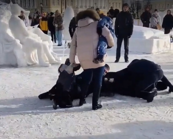 «Ребёнка как шавку оттолкнули»: костромичи обсуждают жёсткое задержание на фестивале ледовых скульптур