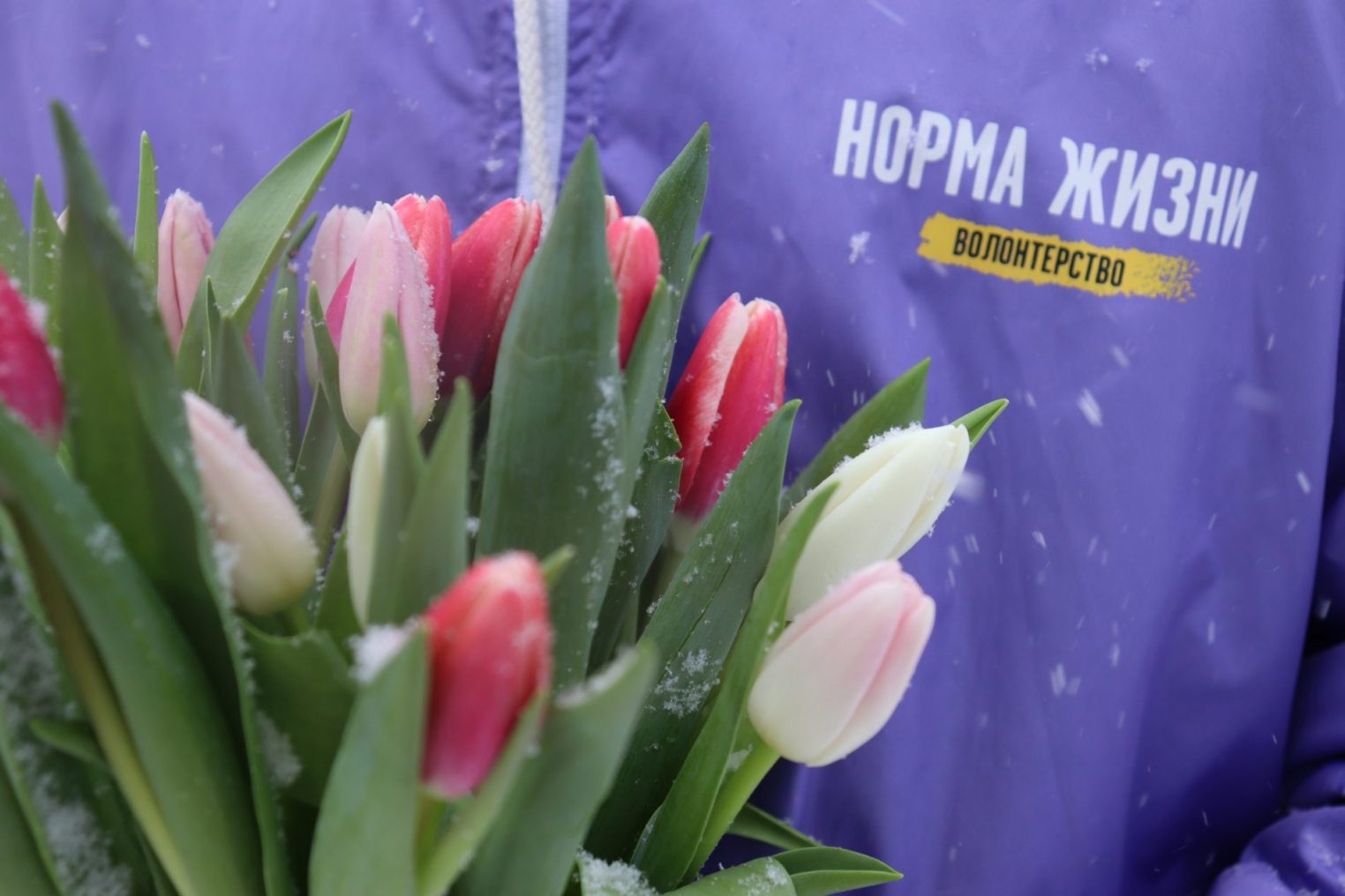 Костромские волонтеры трогательно поздравили с 8 марта военных медиков