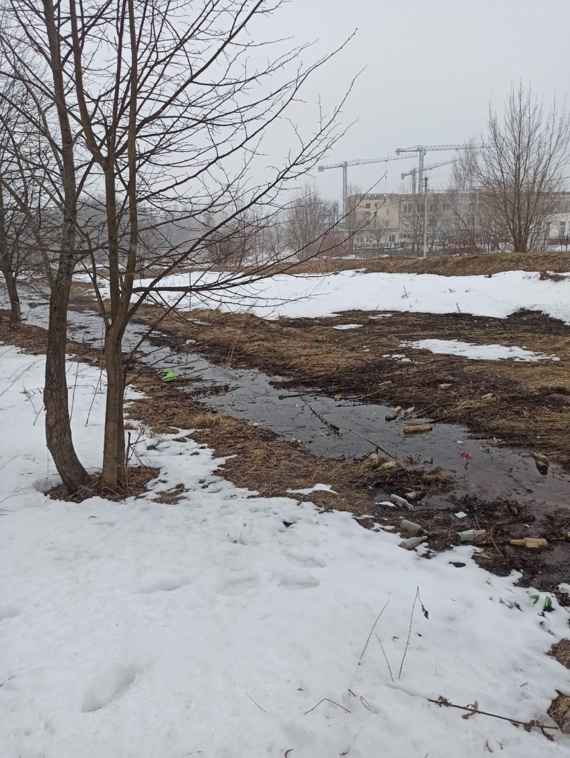 Костромской парк Победы окружили мутные реки