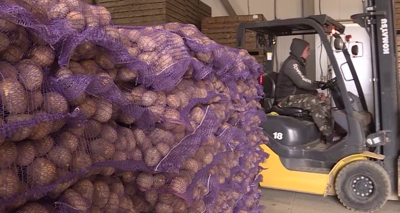 Костромская программа авансирования поставок продуктов помогает сдержать цены на овощи