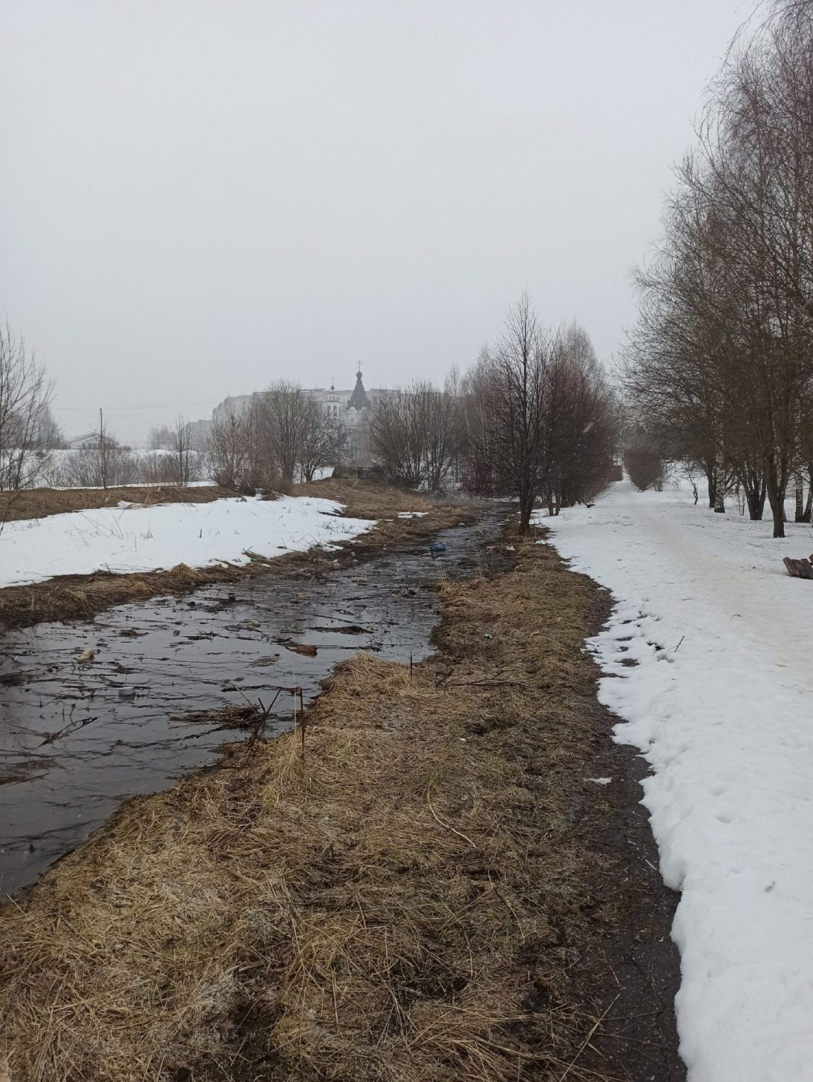 Костромской парк Победы окружили мутные реки