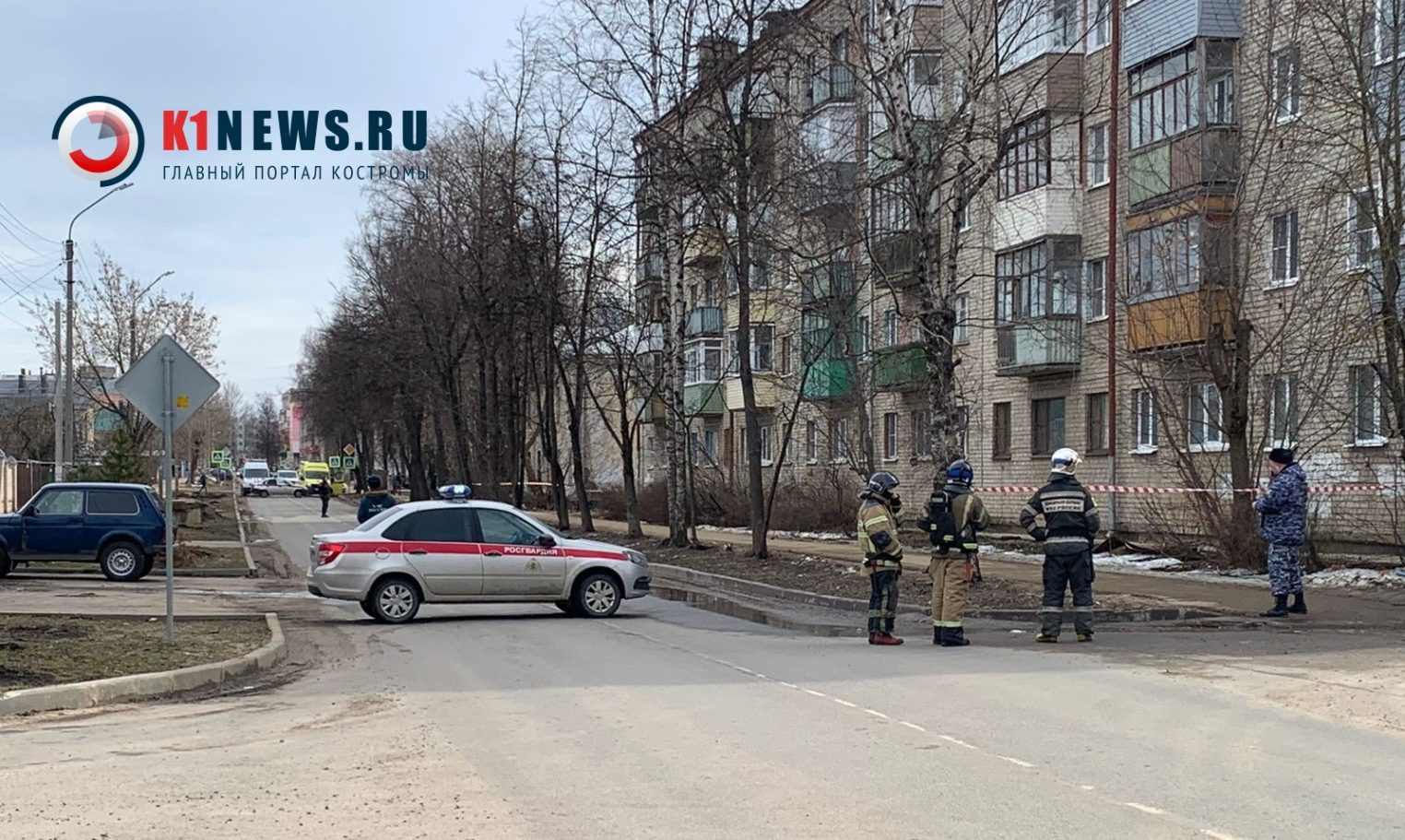 В Костроме в кустах нашли гранату