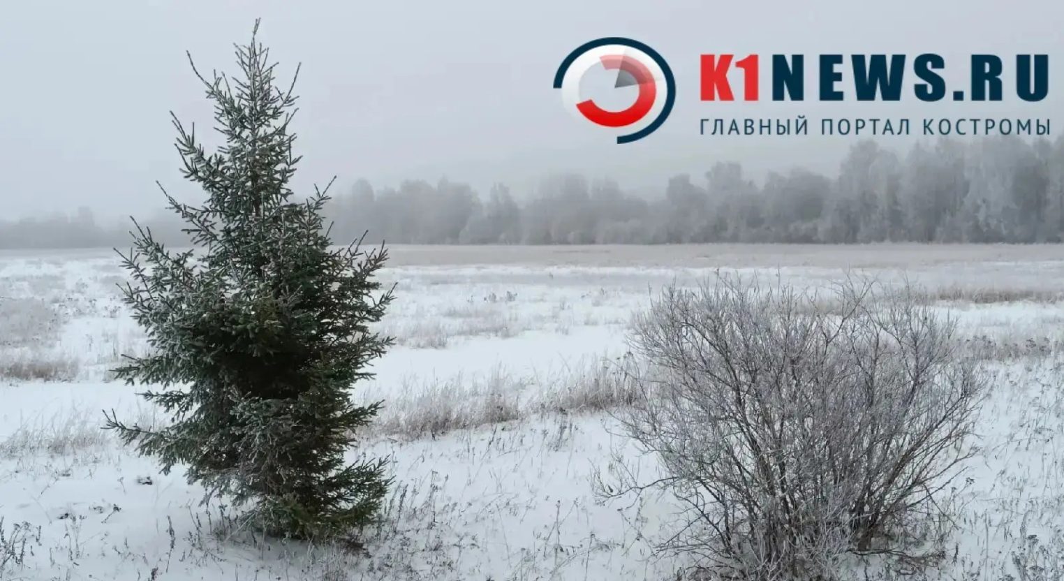 На выходные в Кострому придёт снегопад