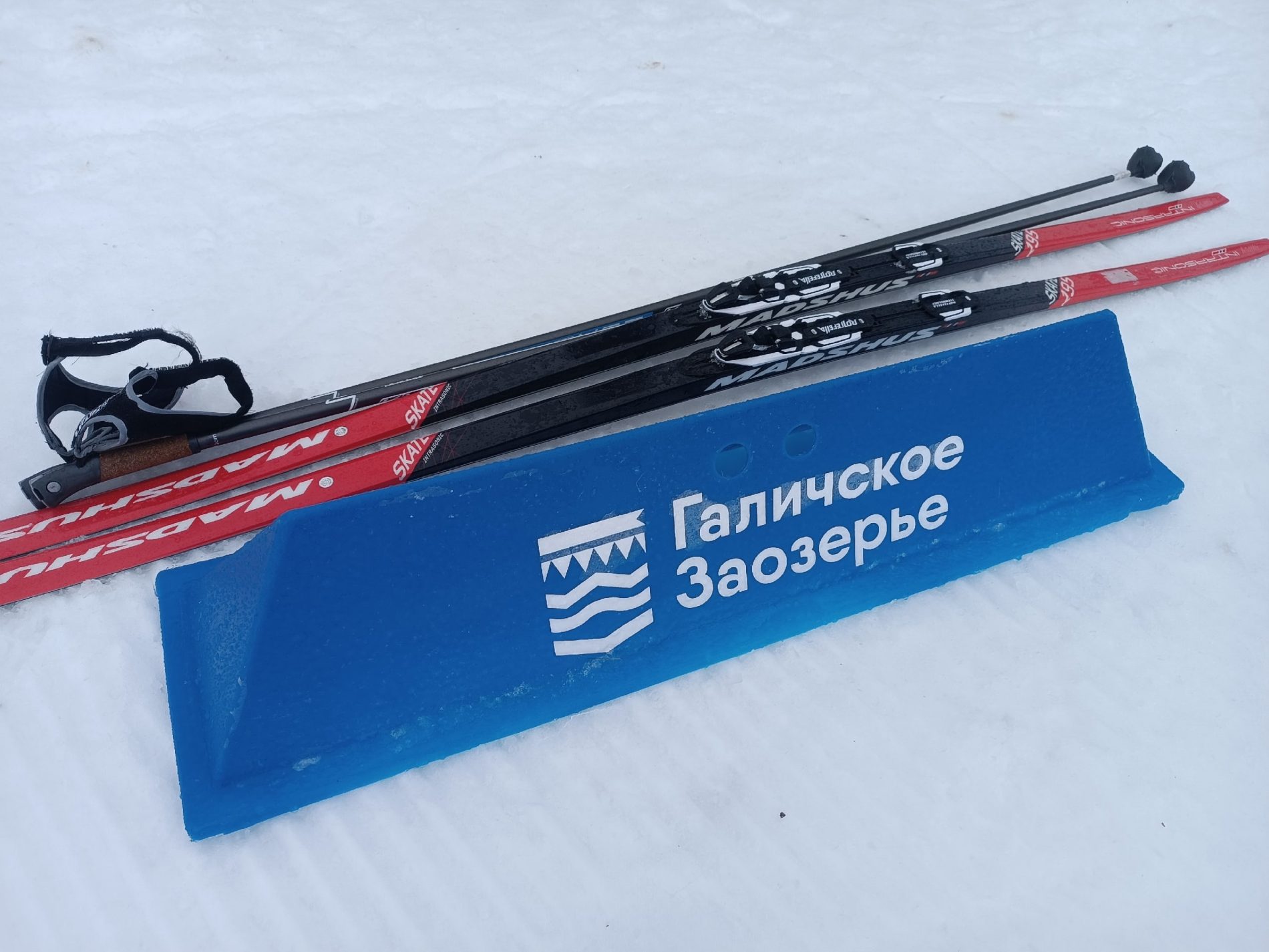 В лыжном марафоне «Галичское Заозерье» костромичи не заняли призовые места