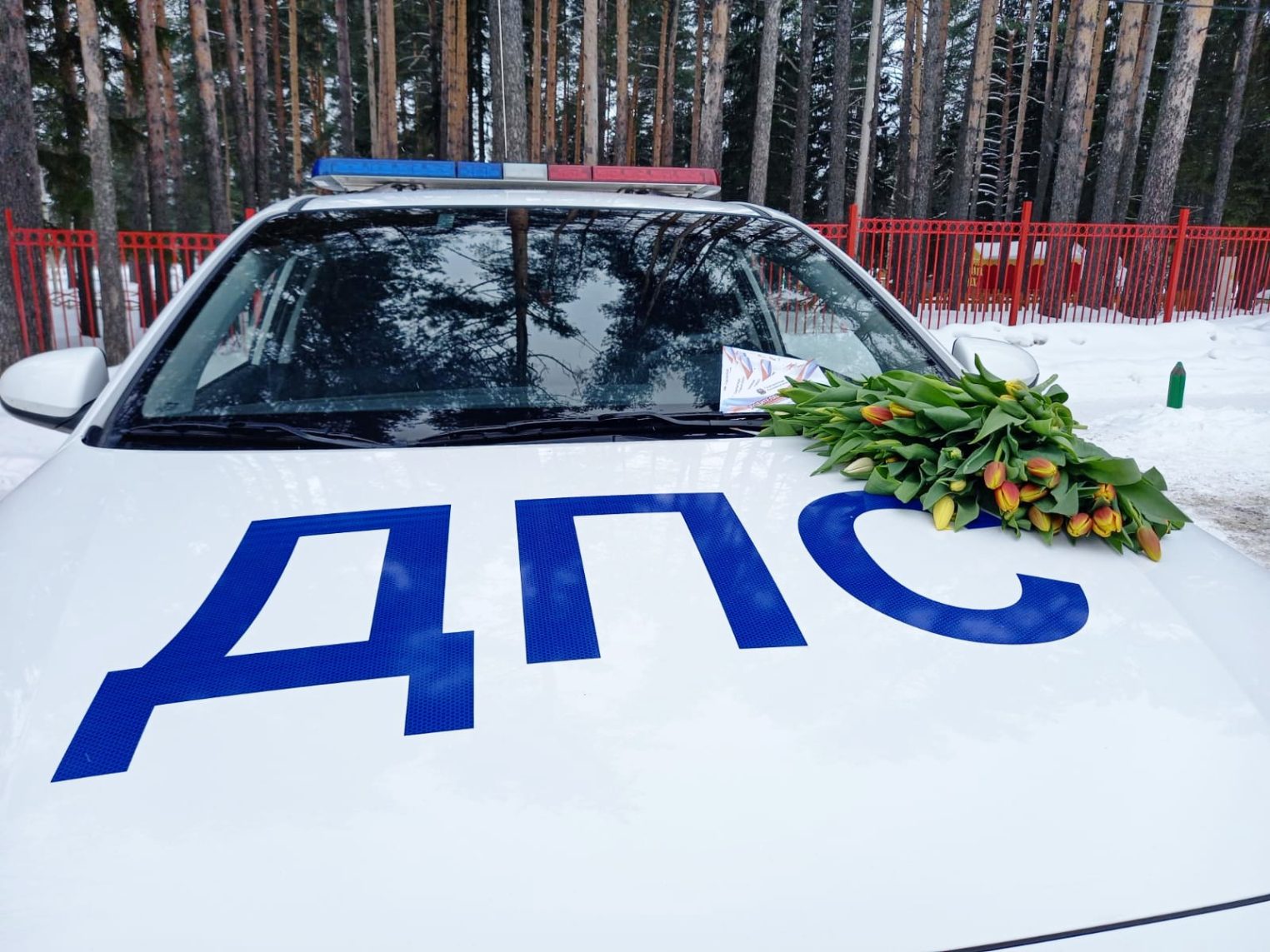 Автоледи в Костроме получат от ГИБДД цветы и улыбки
