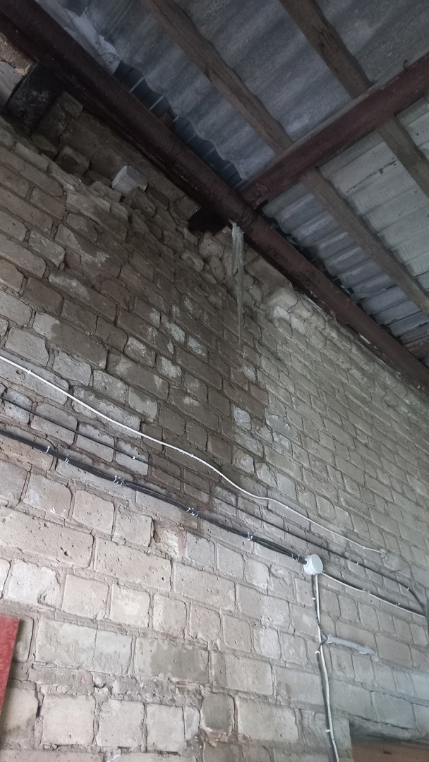 В костромском приюте для животных обрушилась стена