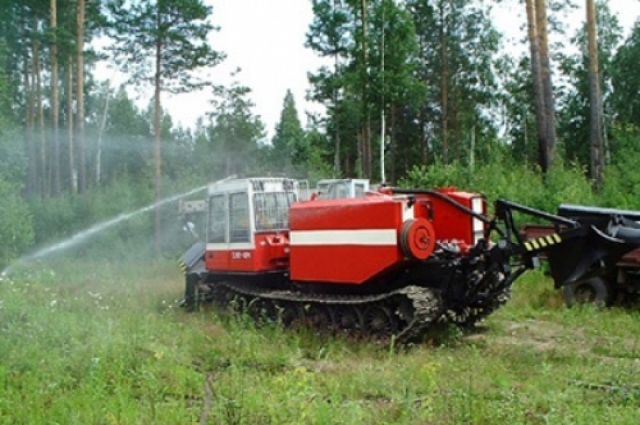 Федеральный центр признал Костромскую область готовой к сезону лесных пожаров
