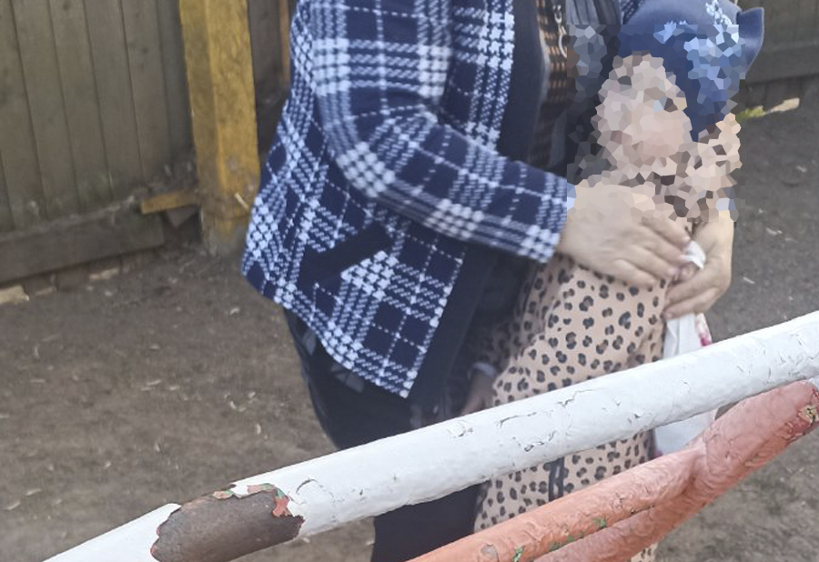Маленькая девочка застряла на детской площадке в Костроме