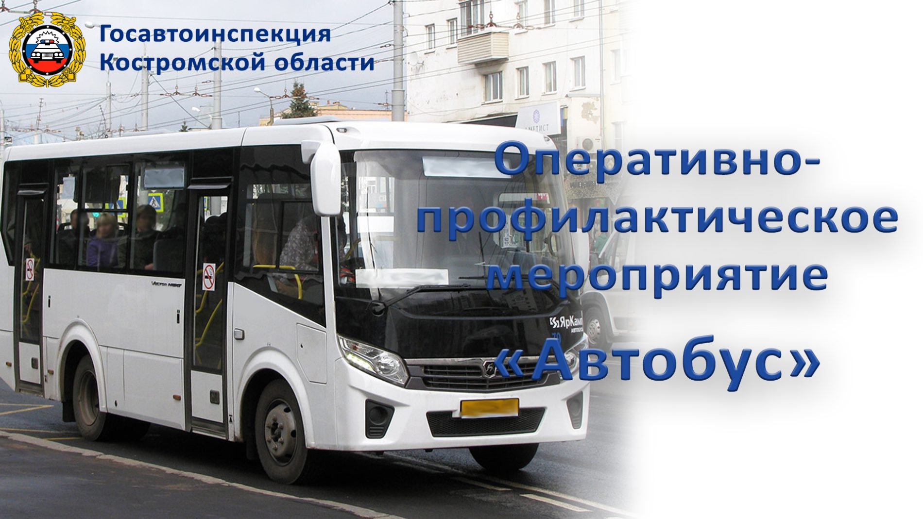 Правоохранители в Костроме запланировали операцию «Автобус»