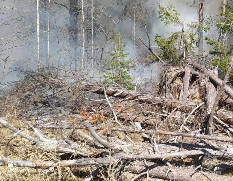 Первый природный пожар случился в Костромской области