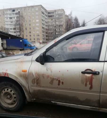 В чечне баскова измазали тортом