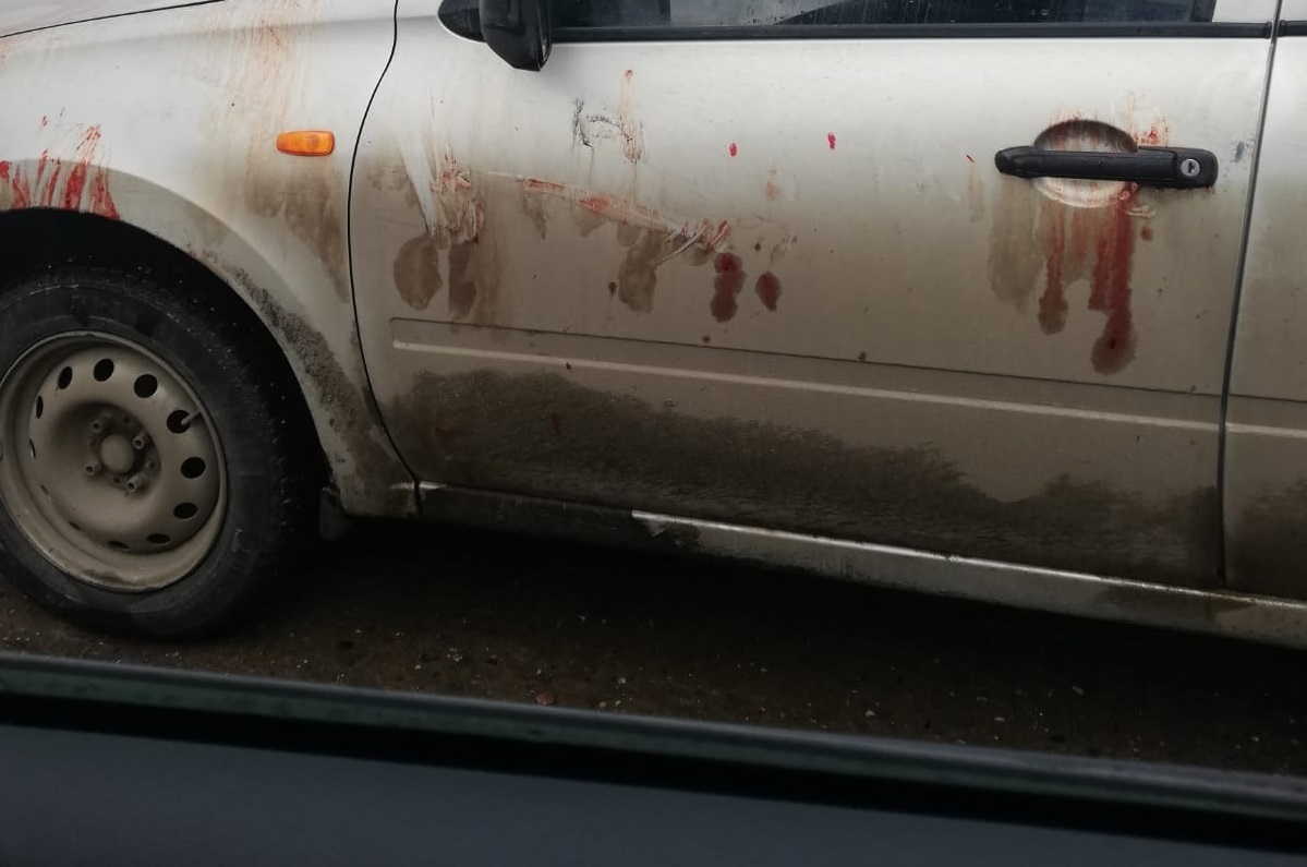 Костромичей напугали измазанные кровью автомобили