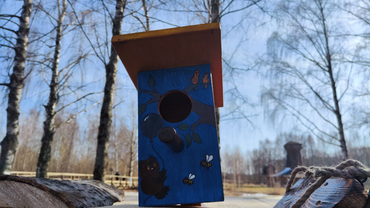 Костромичи подарили сто новых домов птичкам