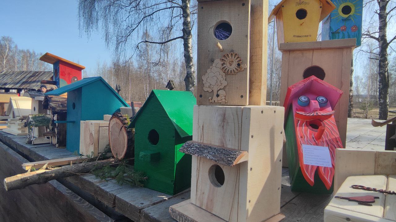Костромичи подарили сто новых домов птичкам