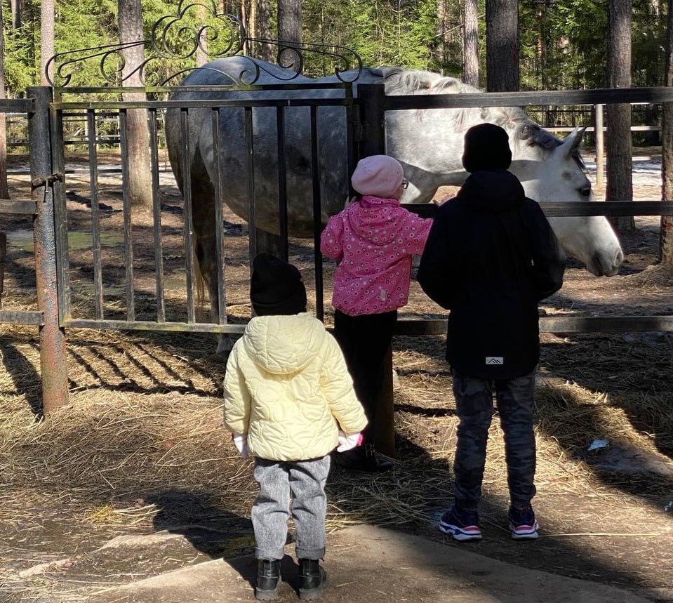 В Костроме показали, как отдыхают участники СВО с семьями