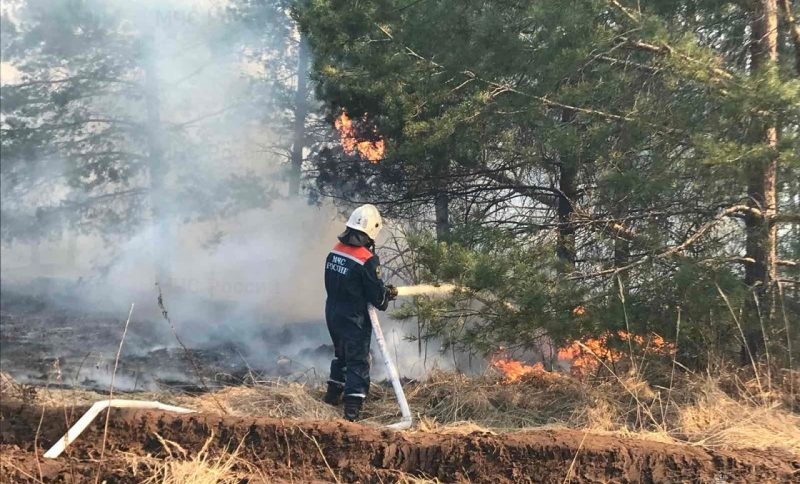 Крупный пожар в Костромской области по-прежнему продолжают тушить