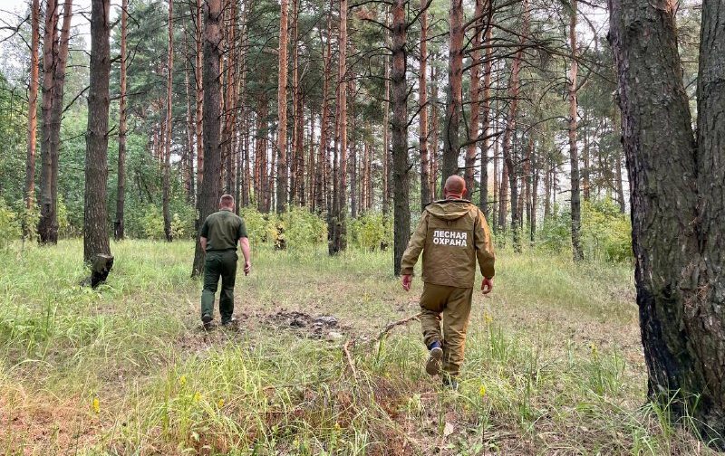 В Костромской области введут особый противопожарный режим
