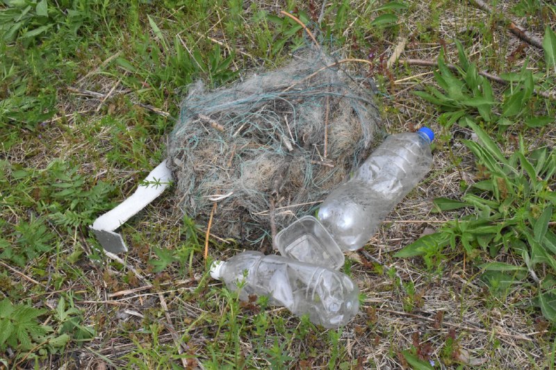 В костромском заливе собрали полтонны мусора