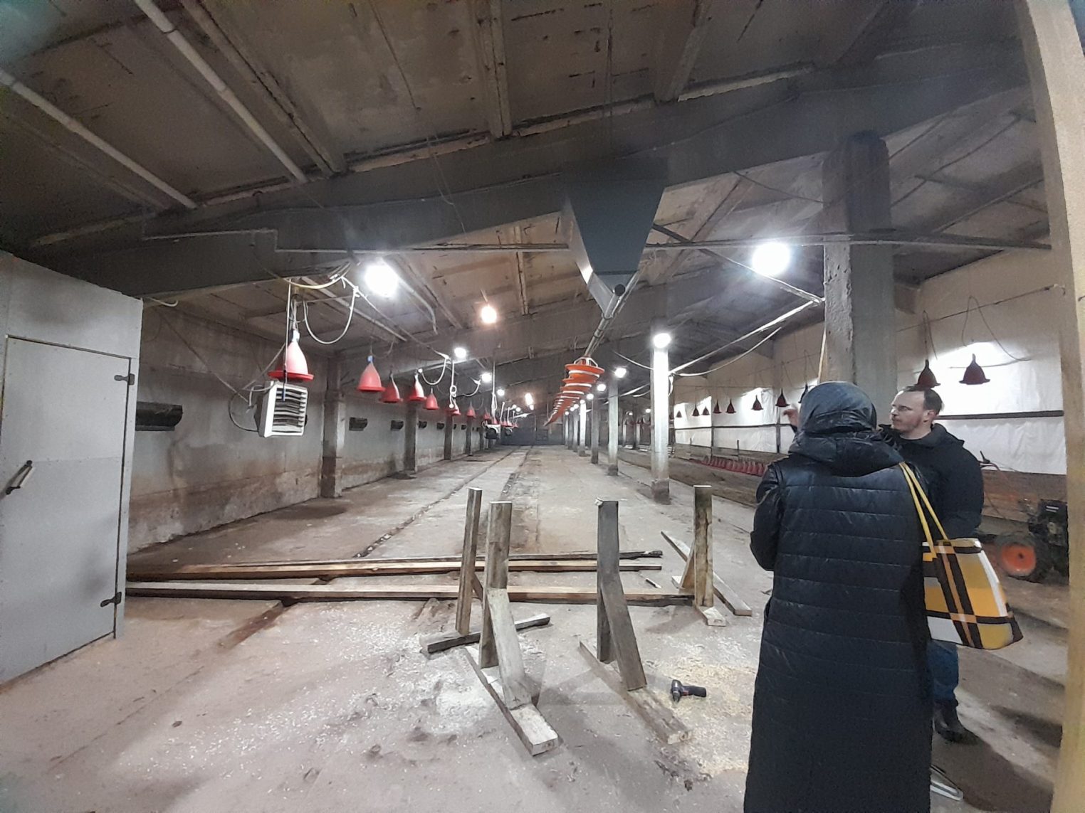 День гуся в костромской глубинке привлекает все больше туристов