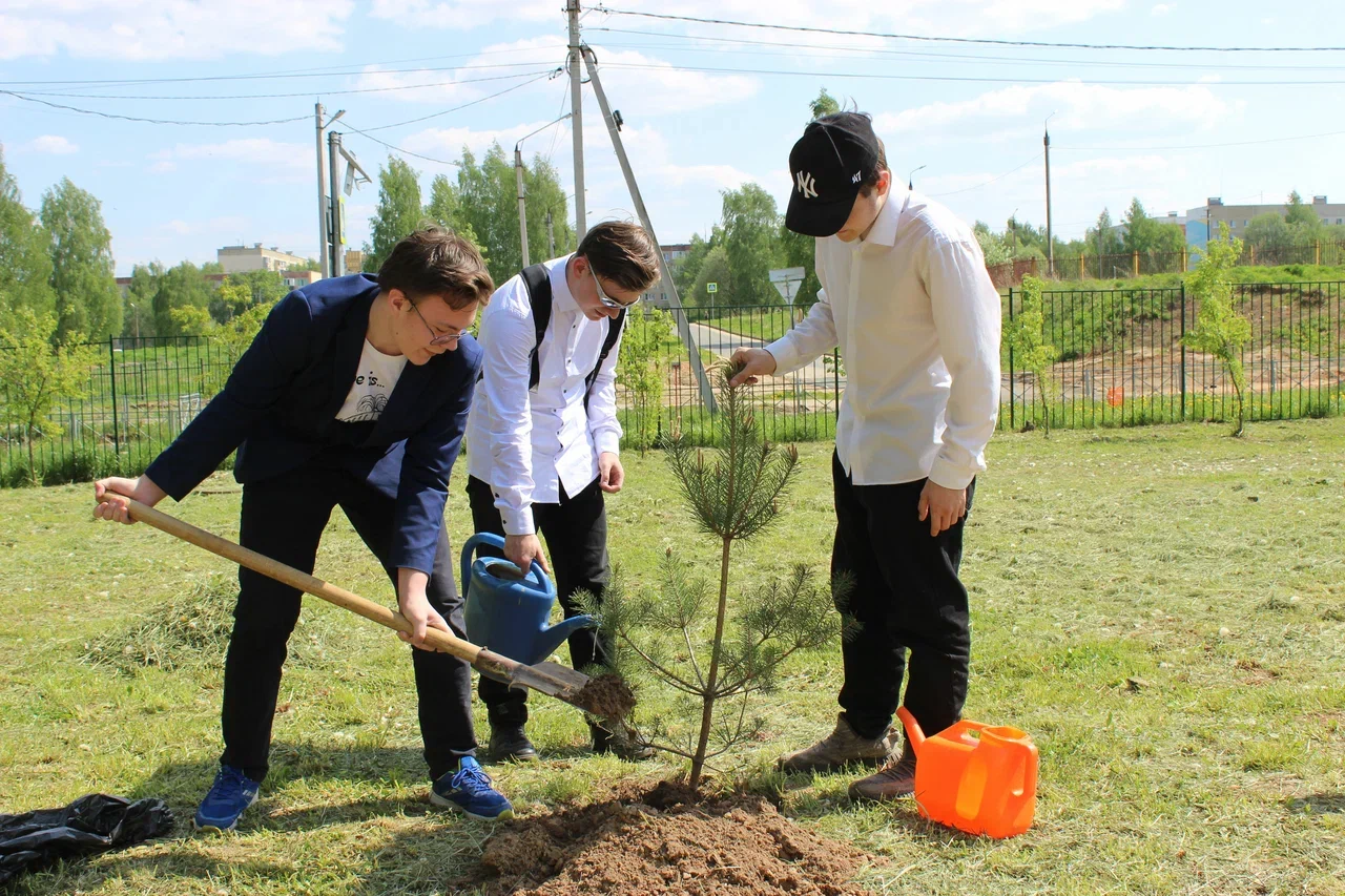 Компания «НОВАТЭК-Кострома» приняла участие в акции «Сад памяти»