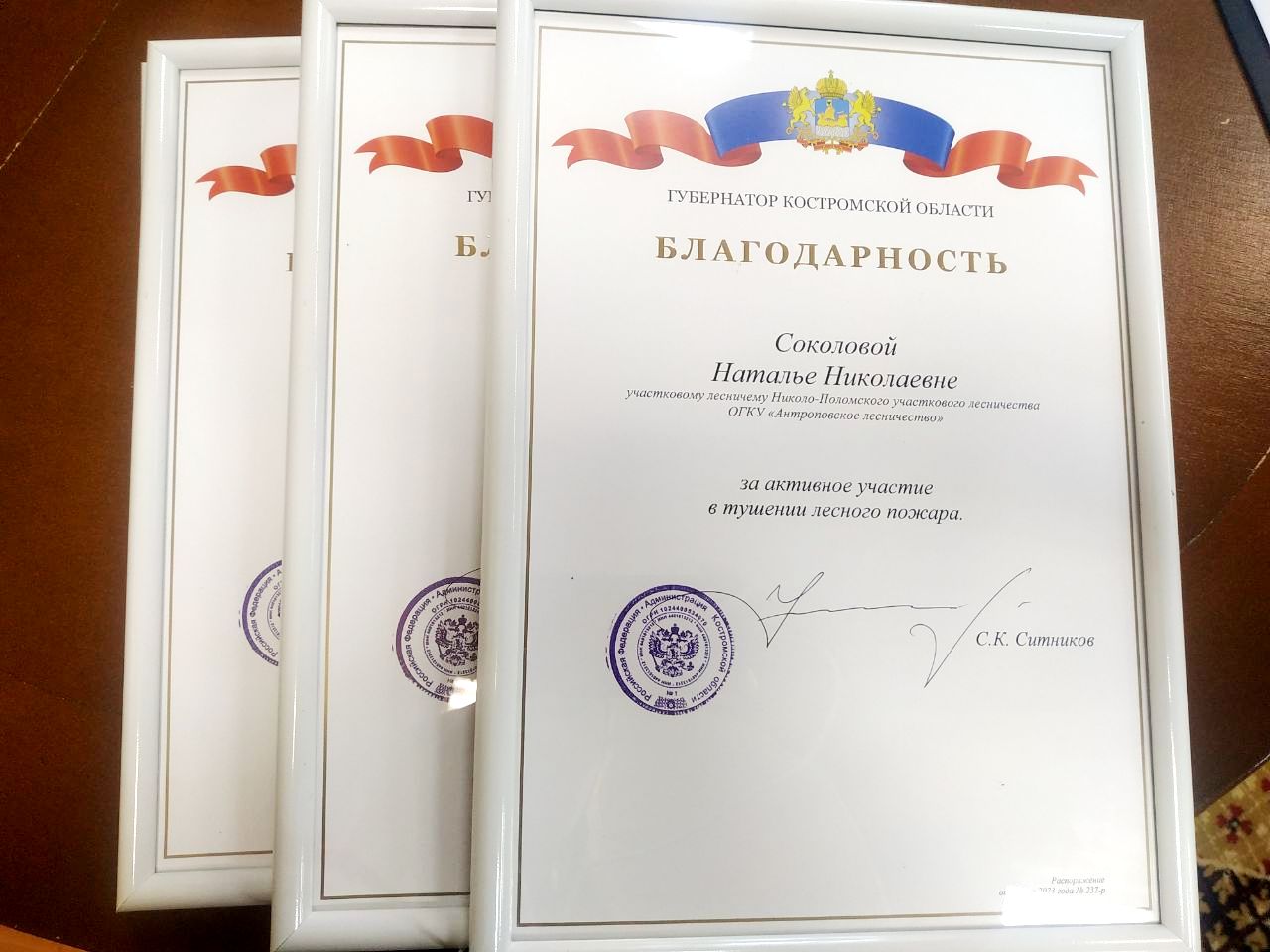 Участников тушения масштабного пожара в Костромской области отметили наградами