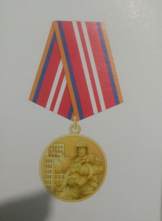 Костромича, спасшего людей при пожаре в "Полигоне", наградили медалью МЧС