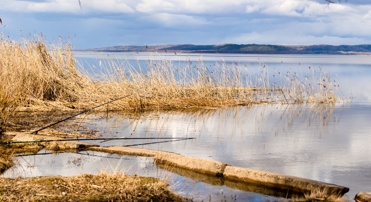 Популярное костромское озеро очистят за 50 миллионов рублей