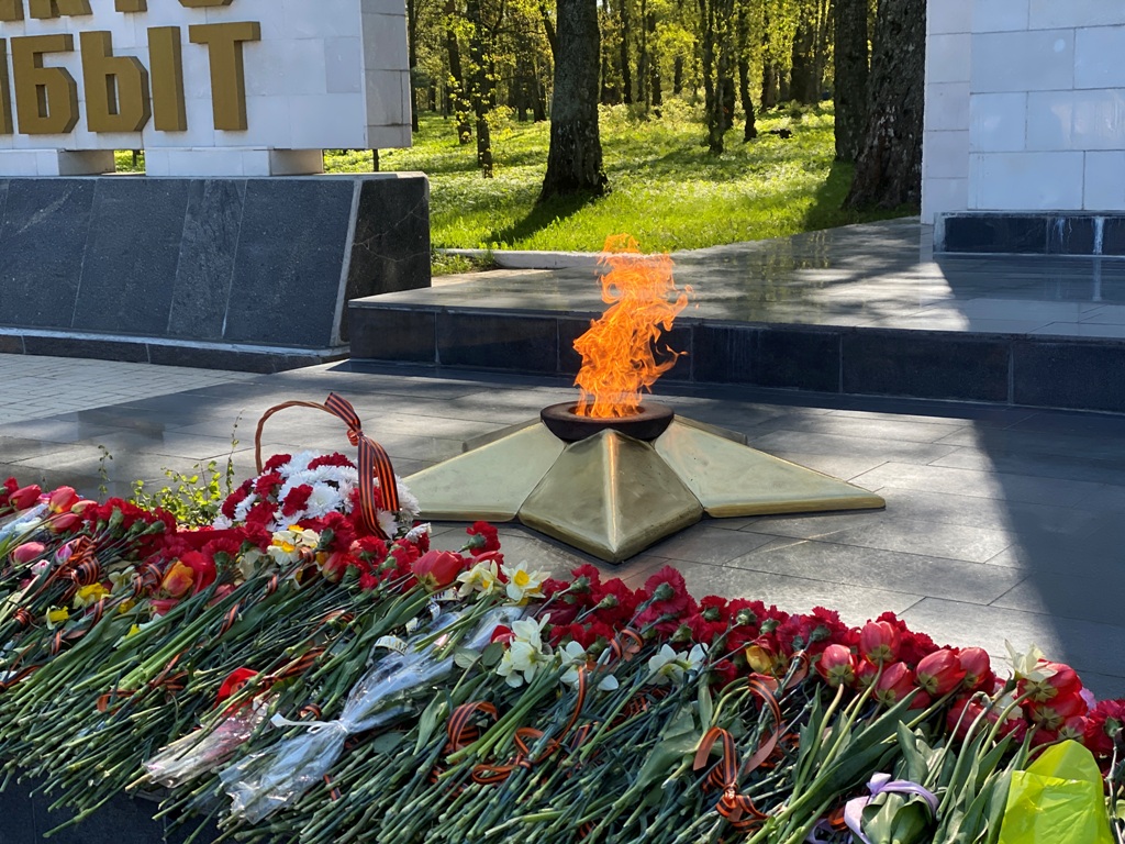 Костромичи 9 мая возложили цветы к Вечному огню