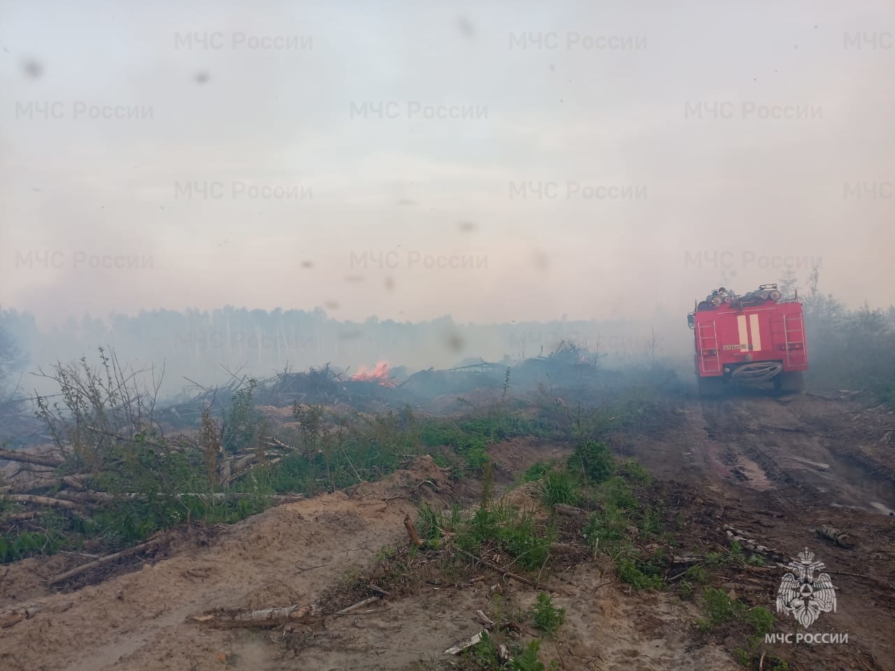 Лесной пожар в Костромской области тушили почти сутки