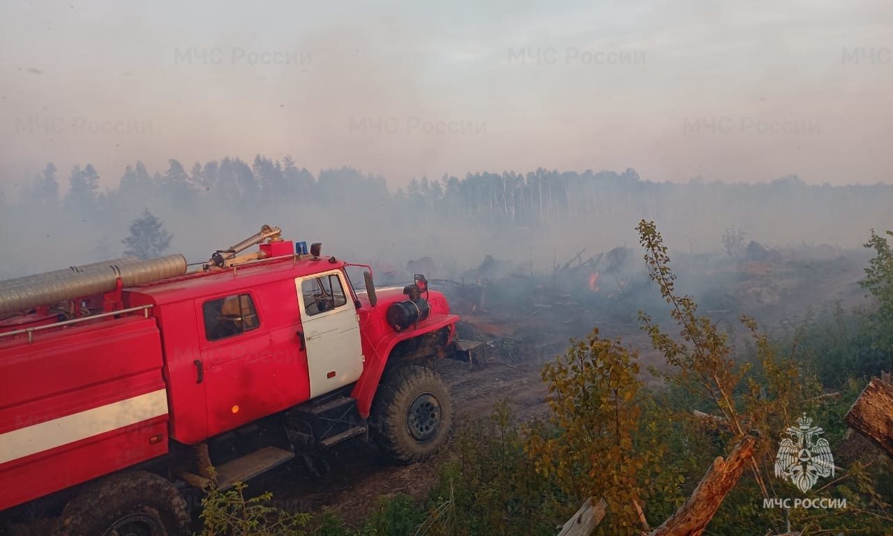 В Костромской области второй день тушат лесной пожар