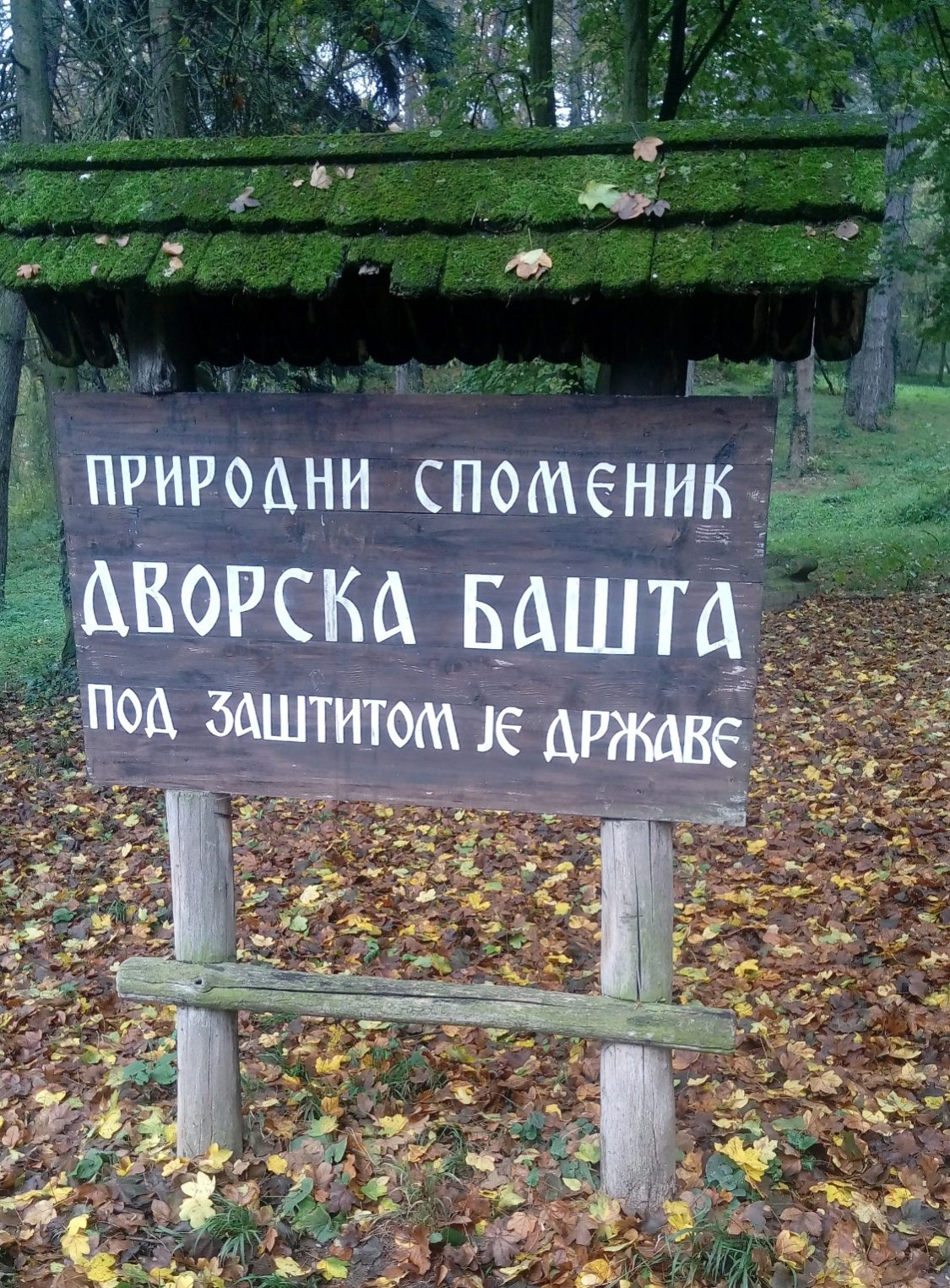 Костромское отделение РГО проведёт "Ночь Географии" в Сербии