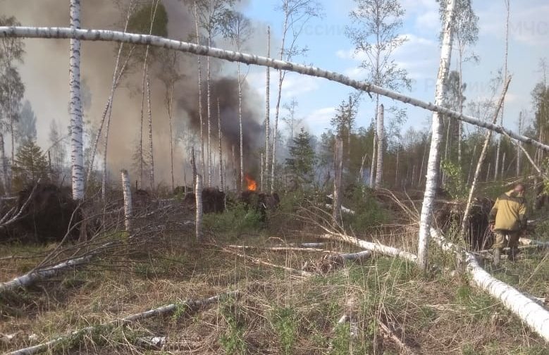 Масштабный лесной пожар в Костромской области ликвидировали