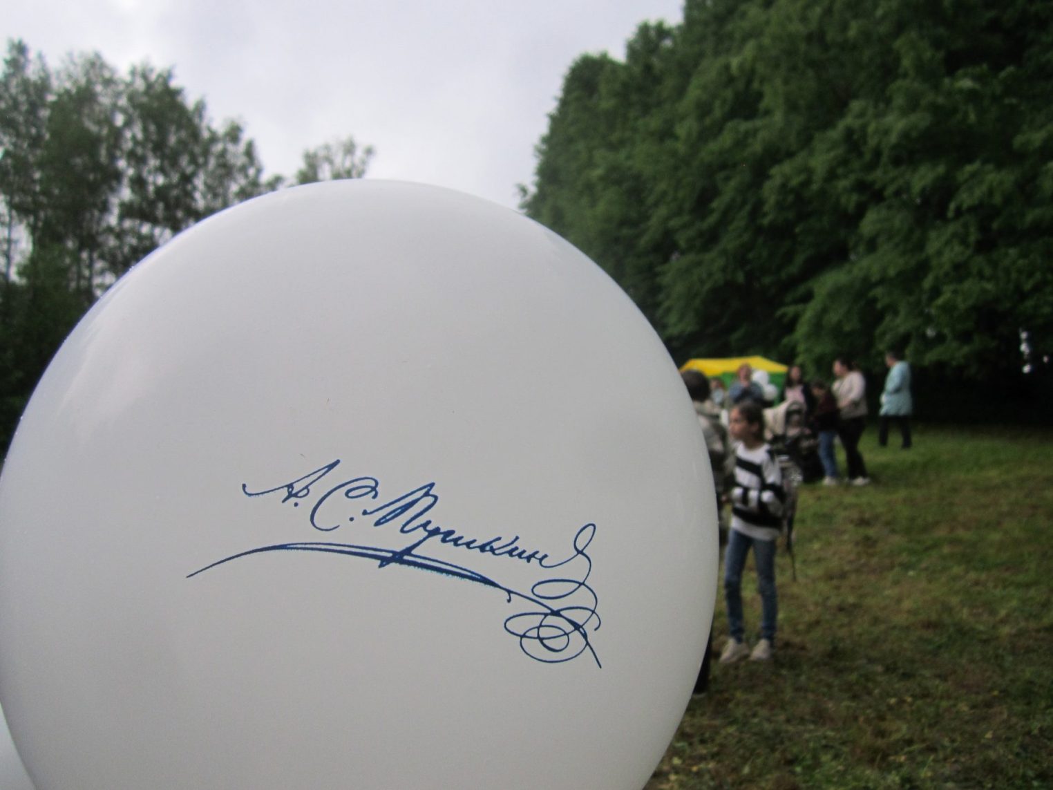 В Костромской области прошёл арт-пикник "С днём рождения, Александр Сергеевич"