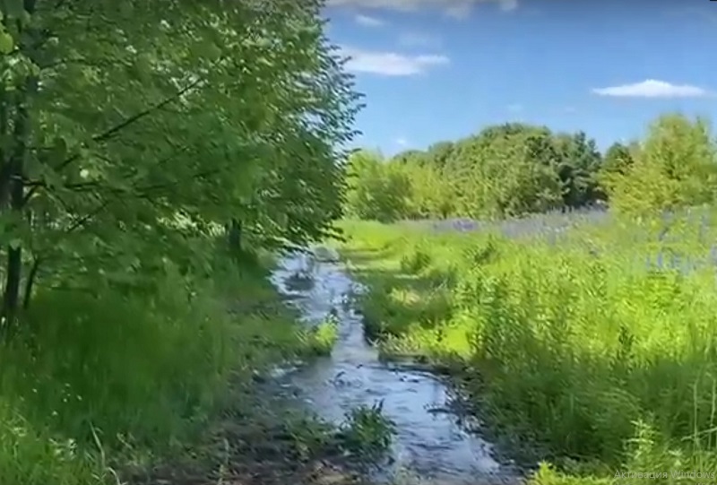В Костроме появилась новая речка