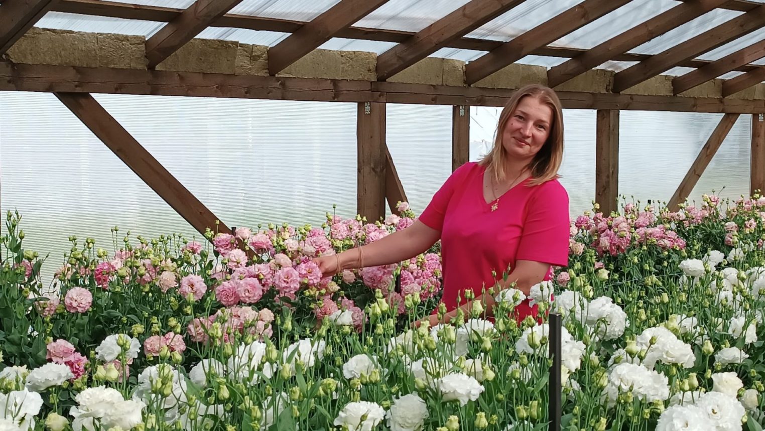 От тюльпанов до эустомы: где приобрести фермерские цветы в Костроме